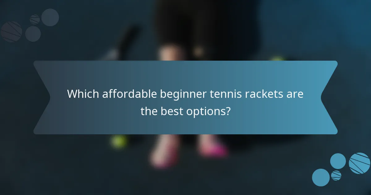 Which affordable beginner tennis rackets are the best options?